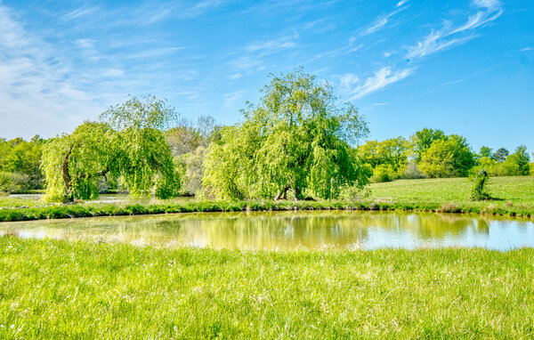 Vakantiehuis - Bergerac , Frankrijk - FAD525 902