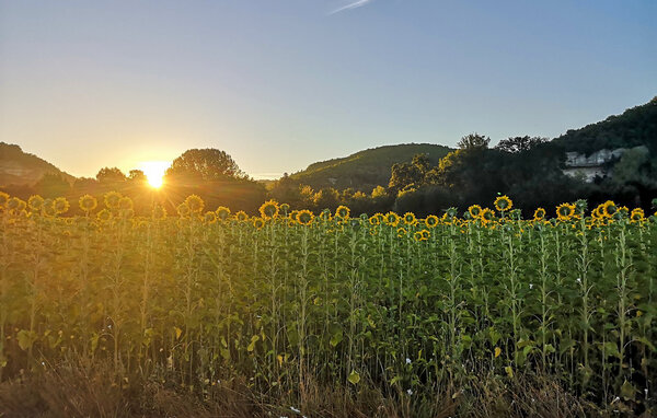 Location de vacances - Archignac , France - FAD533 903