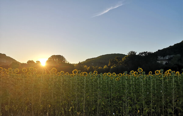 Location de vacances - Saint-Crépin-et-Carlucet , France - FAD535 904