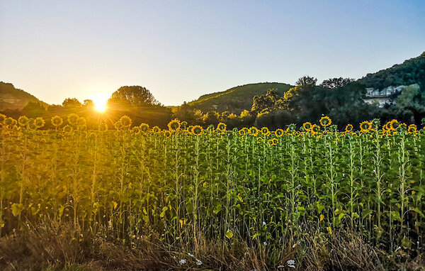 Semesterhus - Sarliac-sur-l'Isle , Frankrike - FAD547 903