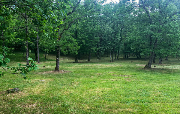 Semesterhus - Sarliac-sur-l'Isle , Frankrike - FAD547 105