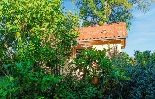 Vakantiehuis - Saint-André-d'Allas , Frankrijk - FAD549 81