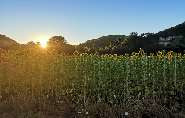 Ferienhaus - Saint-Aubin-de-Cadelech , Frankreich - FAD550 903