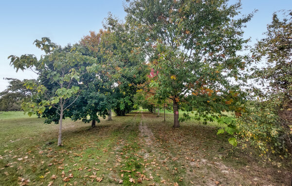 Ferienhaus - Saint-Aubin-de-Cadelech , Frankreich - FAD550 101