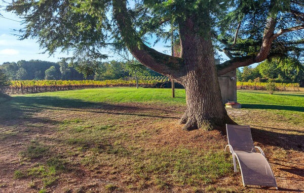 Vakantiehuis - Montcaret , Frankrijk - FAD551 9