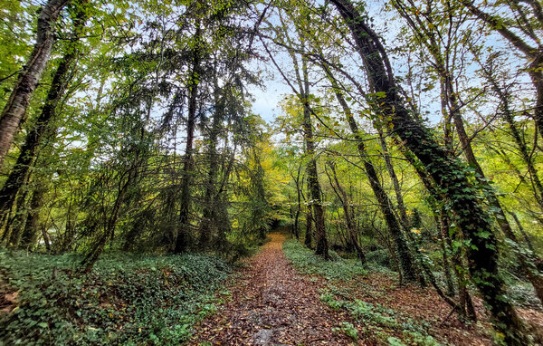 Location de vacances - Eyraud-Crempse-Maurens , France - FAD552 901