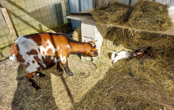 Location de vacances - Eyraud-Crempse-Maurens , France - FAD552 103