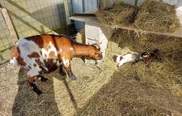 Location de vacances - Eyraud-Crempse-Maurens , France - FAD553 103