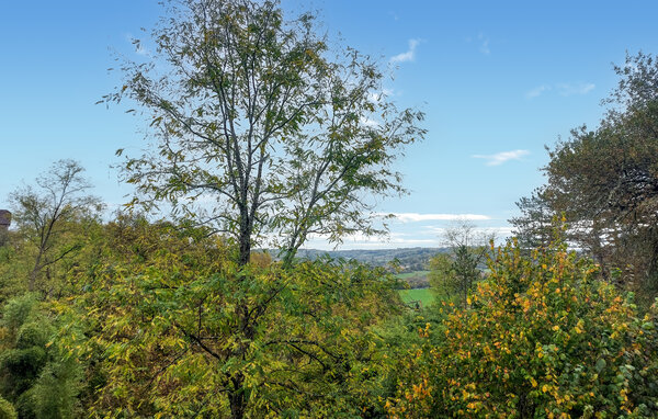 Vakantiehuis - Pays de Belvès , Frankrijk - FAD555 201