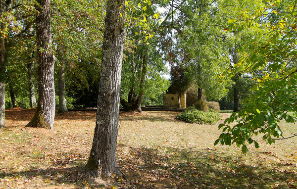 Vakantiehuis - Fleurac , Frankrijk - FAD557 108