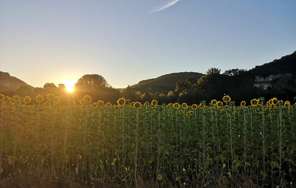 Location de vacances - Castels et Bézenac , France - FAD558 905