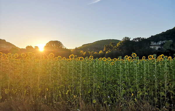 Vakantiehuis - Pazayac , Frankrijk - FAD559 904