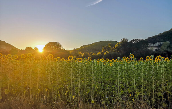 Semesterhus - Saint-Priest-les-Fougères , Frankrike - FAD561 903