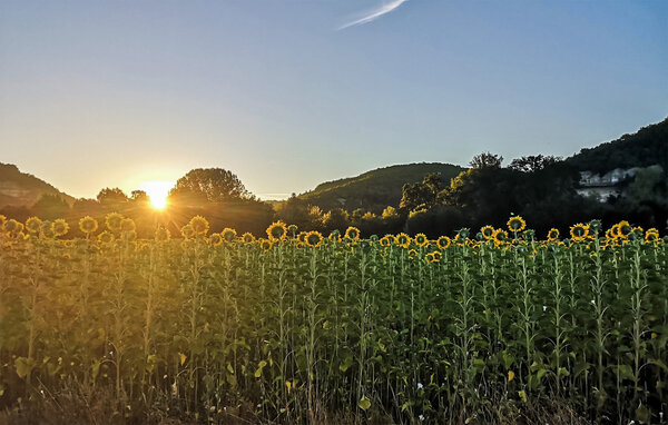Location de vacances - Sarlat-La-Canèda , France - FAD563 902