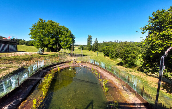 Holiday Home - Saint-Sulpice-de-Roumagnac , France - FAD564 106