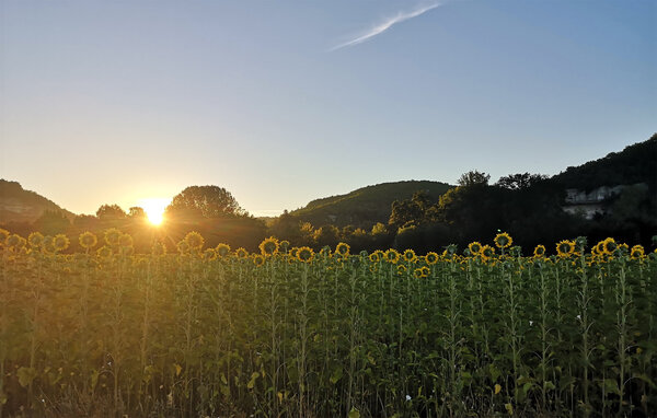 Vakantiehuis - Excideuil , Frankrijk - FAD567 903