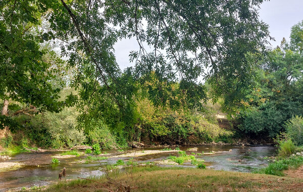 Kuća-za-odmor - Sainte-Eulalie-d'Ans , Francuska - FAD593 102