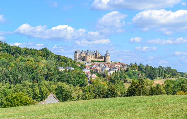 Location de vacances - Savignac-Lédrier , France - FAD793 901