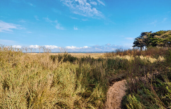 Kuća-za-odmor - Cap Ferret , Francuska - FAG211 87