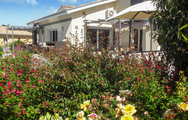 Location de vacances - Ares , France - FAG241 81
