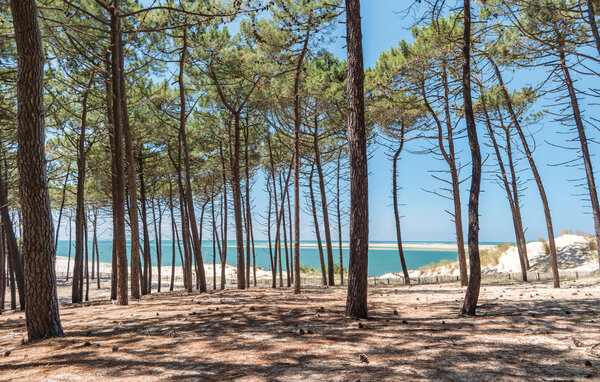 Location de vacances - Ares , France - FAG242 908