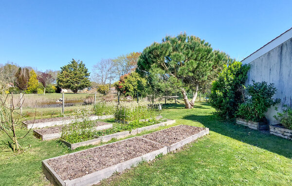 Kuća-za-odmor - Vensac , Francuska - FAG255 102