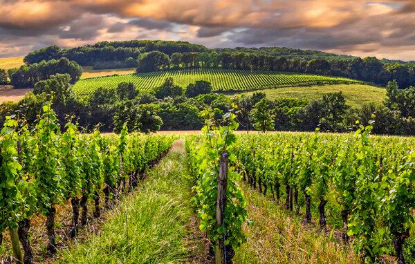 Location de vacances - Mombrier , France - FAG266 901