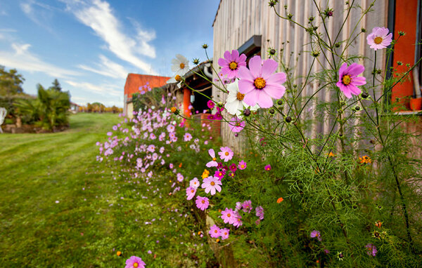 Location de vacances - Mombrier , France - FAG266 108