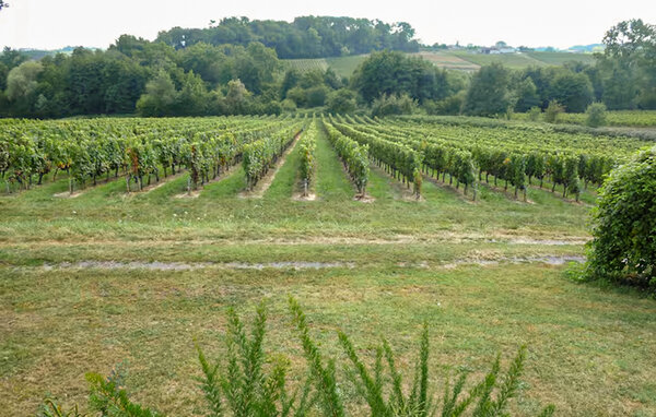 Location de vacances - Mombrier , France - FAG266 109