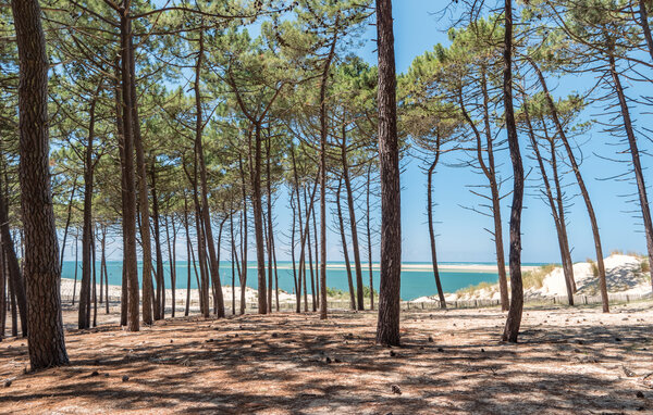 Semesterhus - Lège-Cap-Ferret , Frankrike - FAG269 906