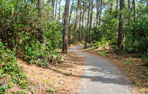 Semesterhus - Lège-Cap-Ferret , Frankrike - FAG269 109