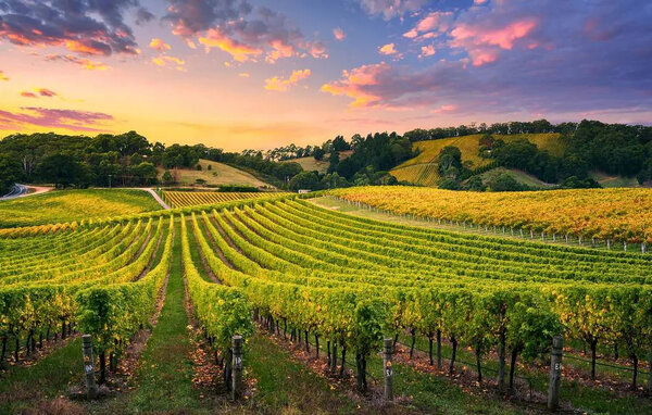 Ferienhaus - Les Esseintes , Frankreich - FAG271 903