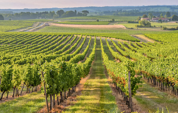 Location de vacances - Tarnès , France - FAG277 901