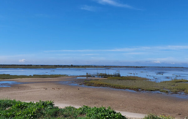 Ferienhaus - Lanton , Frankreich - FAG278 908
