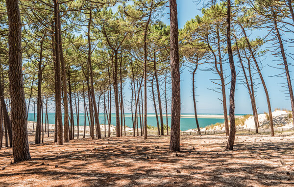 Casa vacanze - Andernos-les-Bains , Francia - FAG279 904