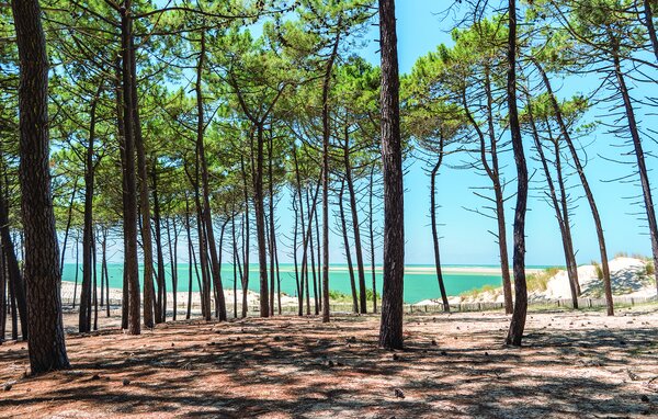 Location de vacances - Gujan-Mestras , France - FAG280 901