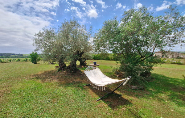 Kuća-za-odmor - Saint-Quentin-de-Caplong , Francuska - FAG288 101