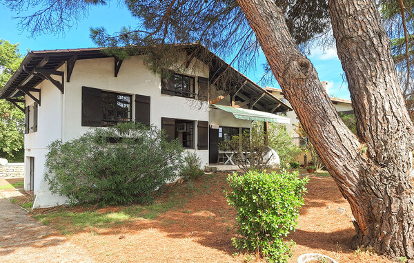 Location de vacances - Gujan-Mestras , France - FAG293 2