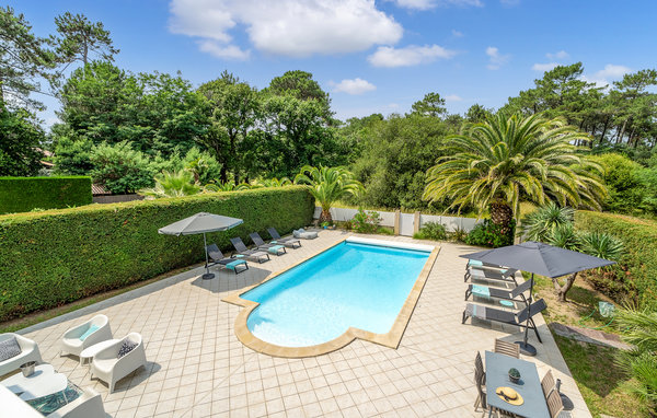 Location de vacances - Cap-Ferret (Le Canon) , France - FAG720 201
