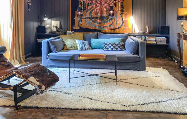 Semesterhus - Arjuzanx , Frankrike - FAL007 4