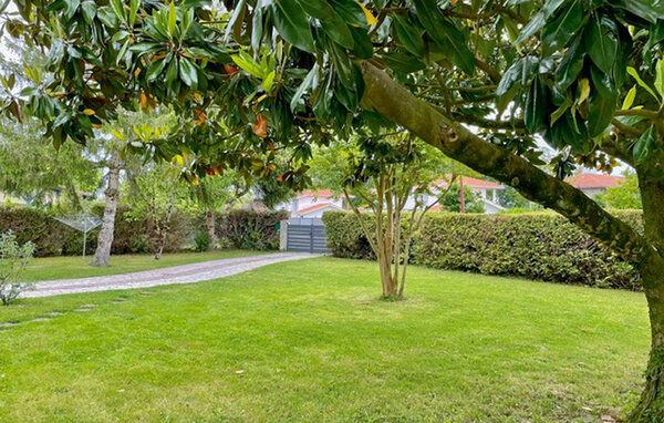 Location de vacances - Angresse , France - FAL119 107