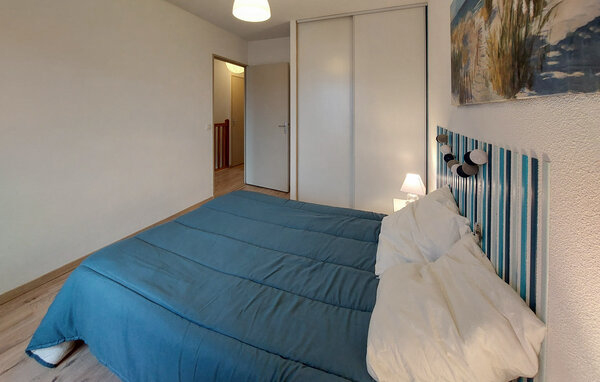 Vakantiehuis - Angresse , Frankrijk - FAL126 603