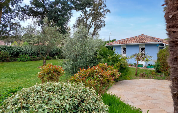 Holiday Home - Léon , France - FAL127 101