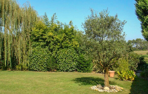 Holiday Home - Léon , France - FAL127 9