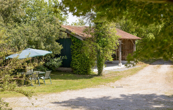 Ferienhaus - Ossages , Frankreich - FAL135 110