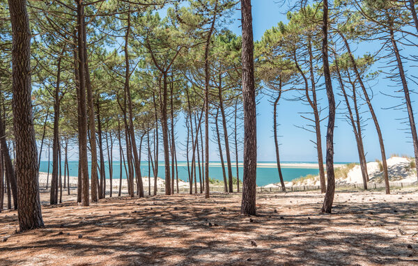 Location de vacances - Mimizan , France - FAL156 901