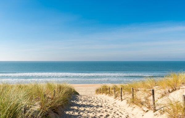 Location de vacances - Mimizan , France - FAL156 902