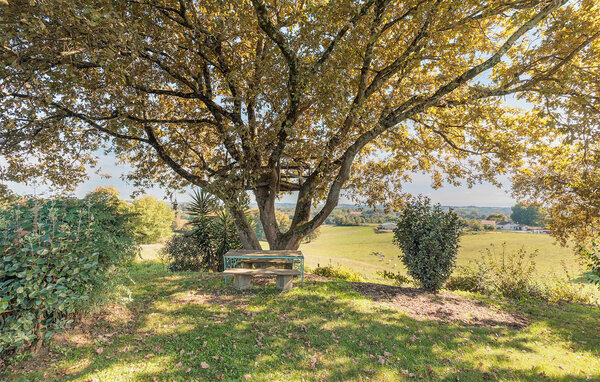 Vakantiehuis - Estibeaux , Frankrijk - FAL162 103