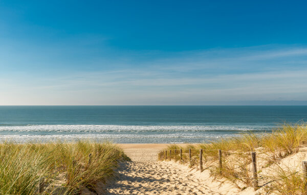 Apartment - Biscarrosse , France - FAL165 901