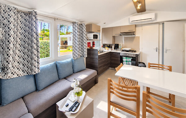 Vakantiehuis - Saint Julien en Born , Frankrijk - FAL170 301